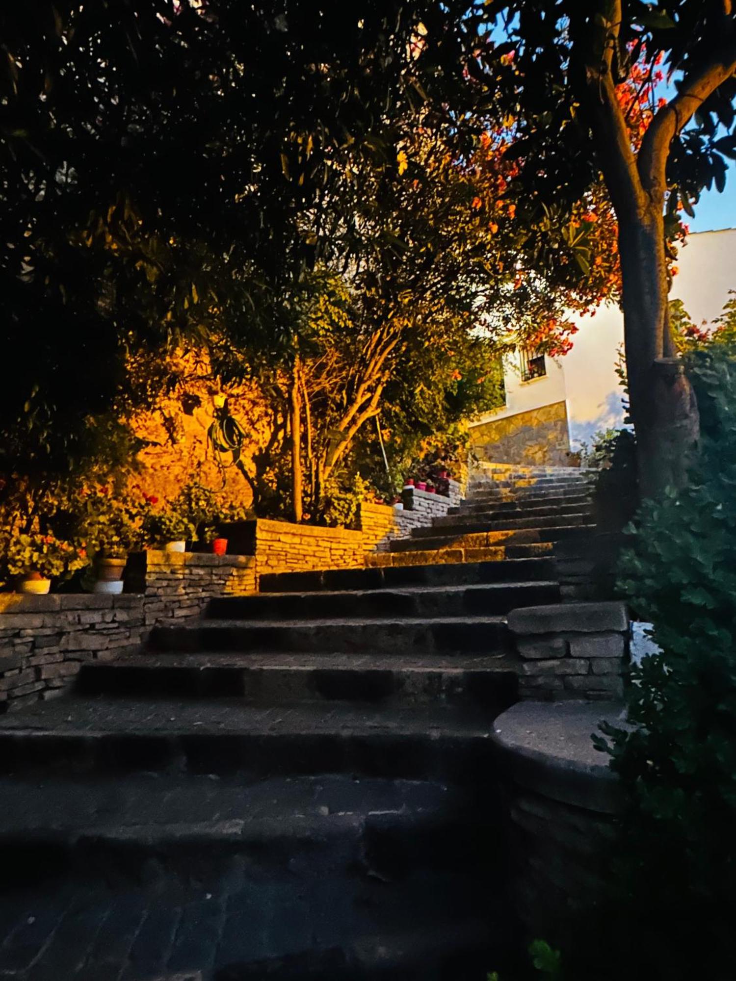 Apartamento El Patio. Setenil De Las Bodegas Номер фото